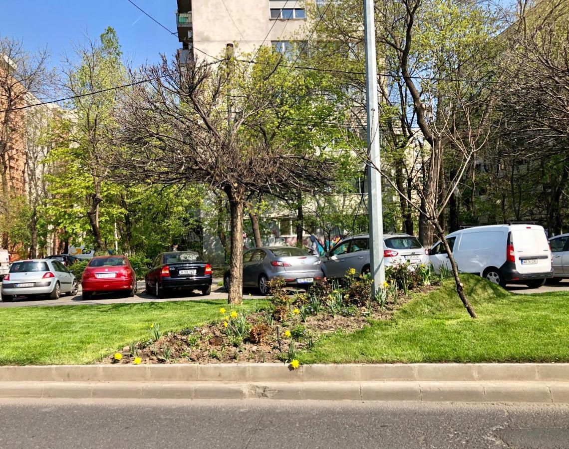 Cozy And Clean Apartment, Near National Arena Bucureşti Exterior foto